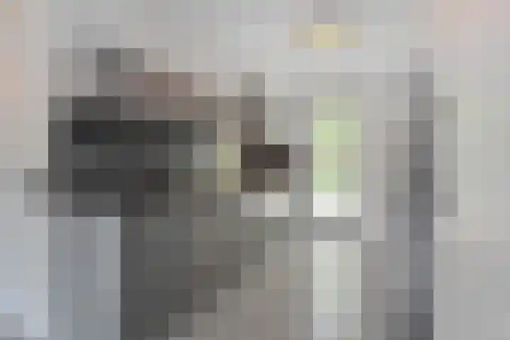 Zonnehof 68 Nootdorp thumbnail 14