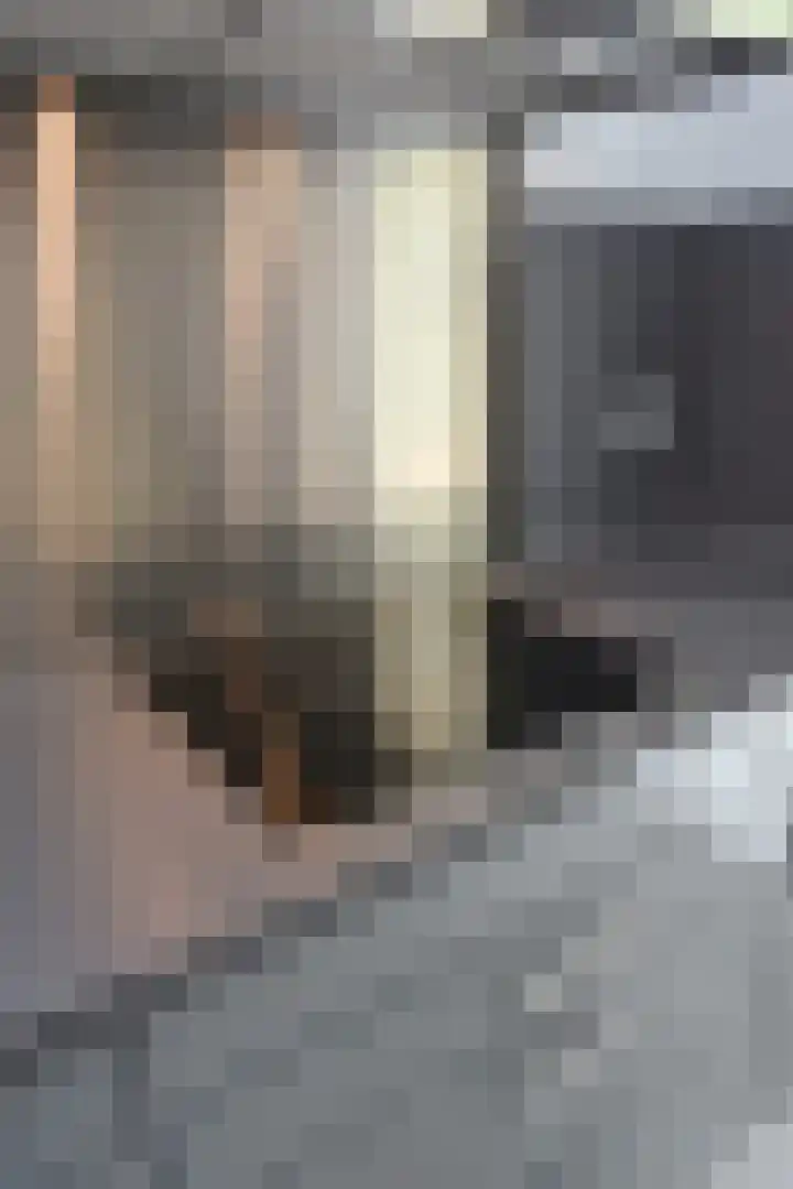Zonnehof 68 Nootdorp thumbnail 15