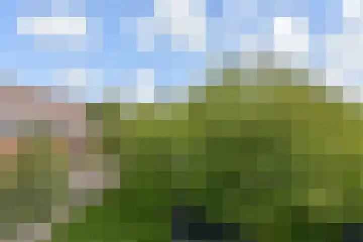 Zonnehof 68 Nootdorp thumbnail 29