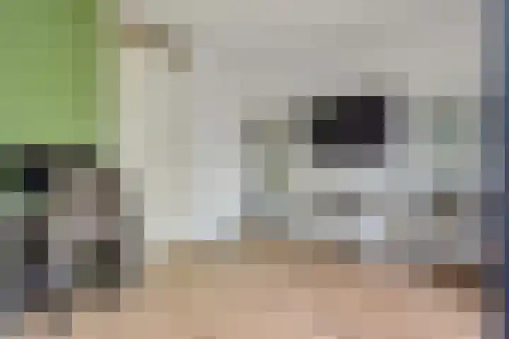 Zonnehof 68 Nootdorp thumbnail 31