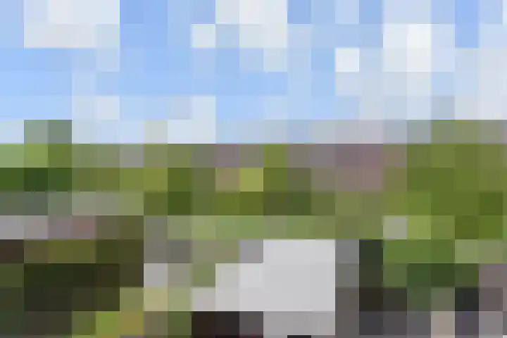 Zonnehof 68 Nootdorp thumbnail 40