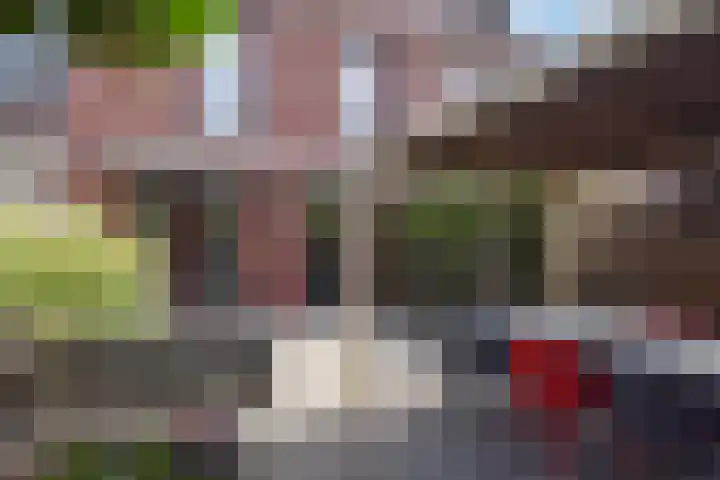 Zonnehof 68 Nootdorp thumbnail 49