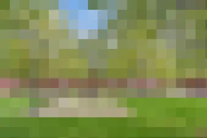 Zonnehof 68 Nootdorp thumbnail 5