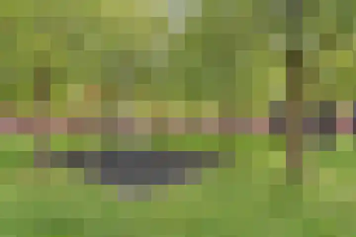 Zonnehof 68 Nootdorp thumbnail 54