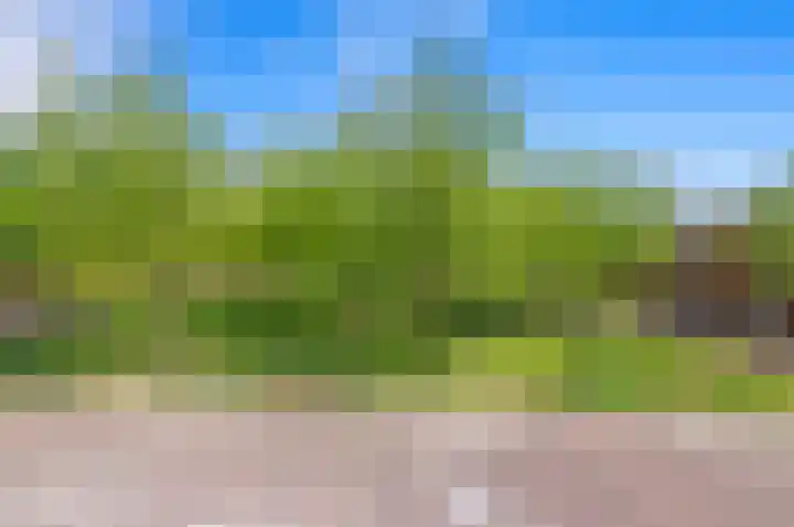 Zonnehof 75 Nootdorp thumbnail 23