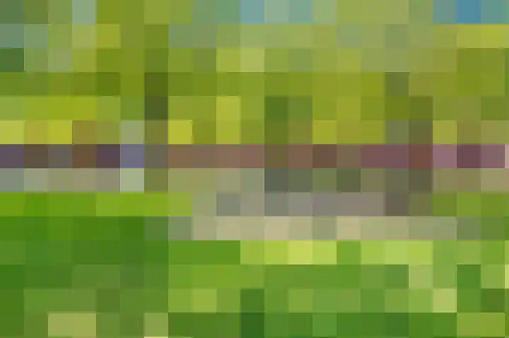 Zonnehof 75 Nootdorp thumbnail 37