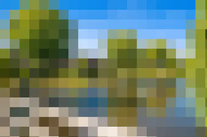 Zonnehof 75 Nootdorp thumbnail 38