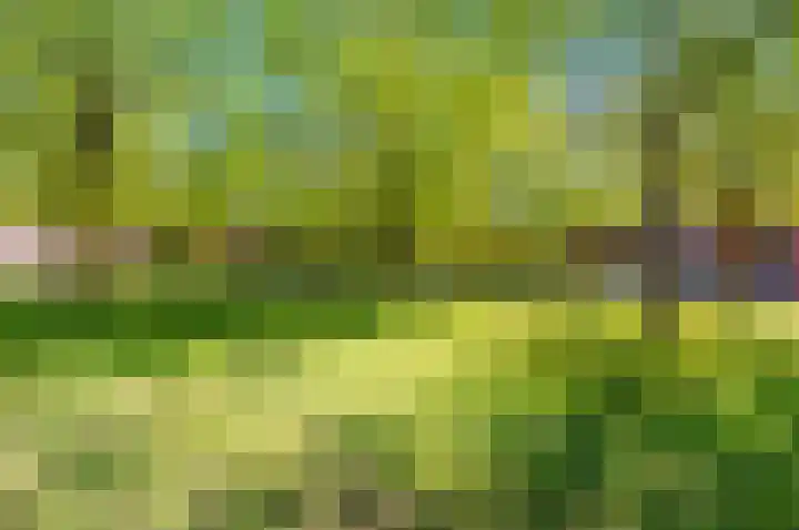 Zonnehof 75 Nootdorp thumbnail 39