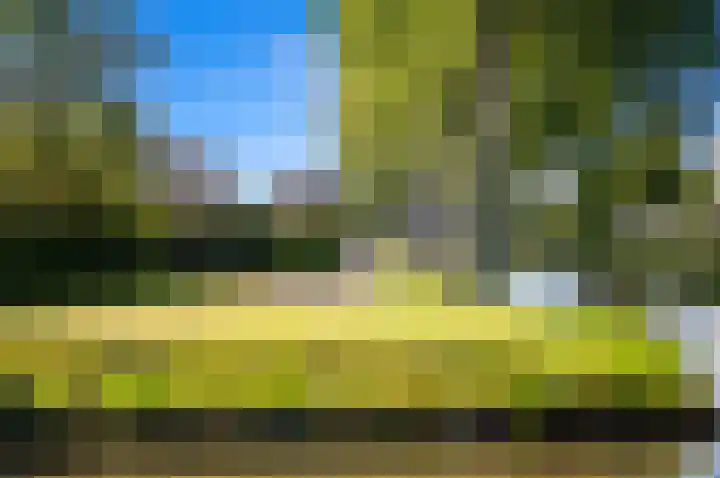 Zonnehof 75 Nootdorp thumbnail 40