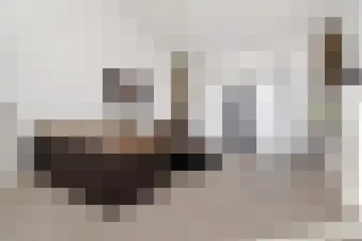 Zonnehof 96 Nootdorp thumbnail 17