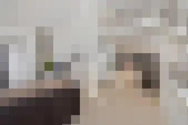 Zonnehof 96 Nootdorp thumbnail 18