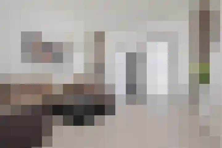 Zonnehof 96 Nootdorp thumbnail 20