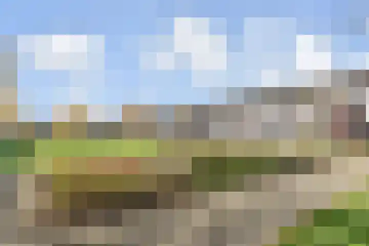 Zonnehof 96 Nootdorp thumbnail 32