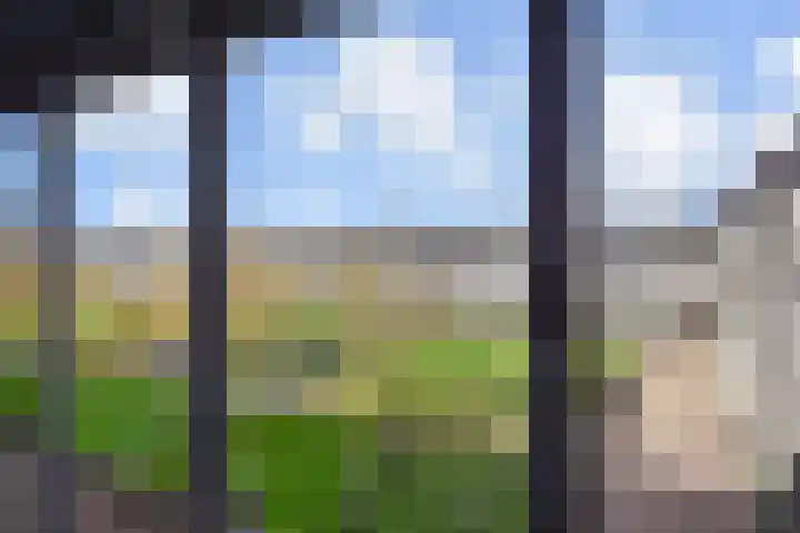 Zonnehof 96 Nootdorp thumbnail 4