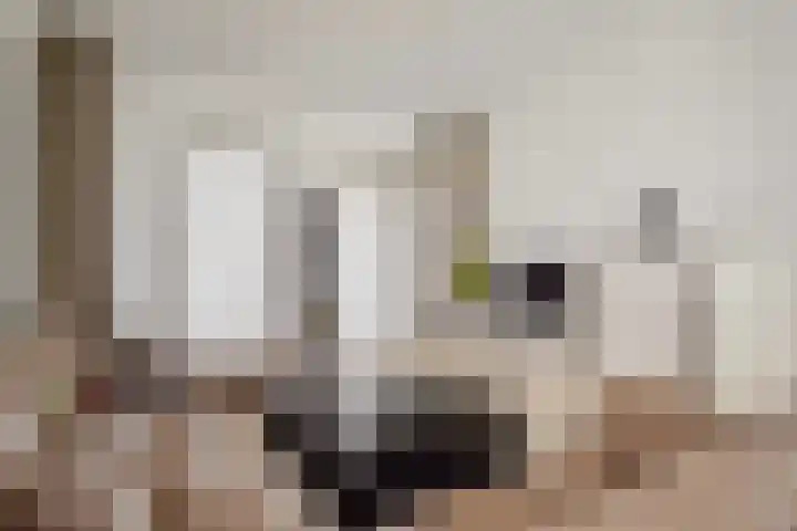 Zonnehof 96 Nootdorp thumbnail 5