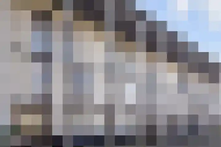 Zonnehof 96 Nootdorp thumbnail 7