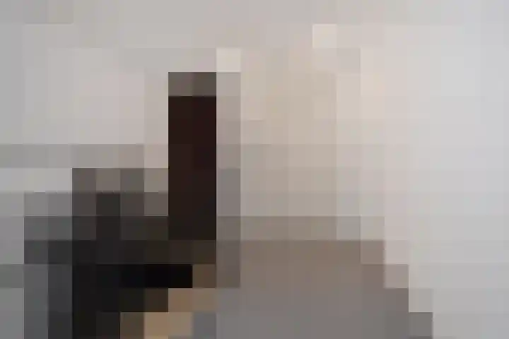 Zonnehof 96 Nootdorp thumbnail 8