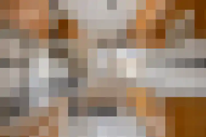 Zonnekruidstraat 8 Heteren thumbnail 14