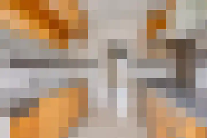 Zonnekruidstraat 8 Heteren thumbnail 15