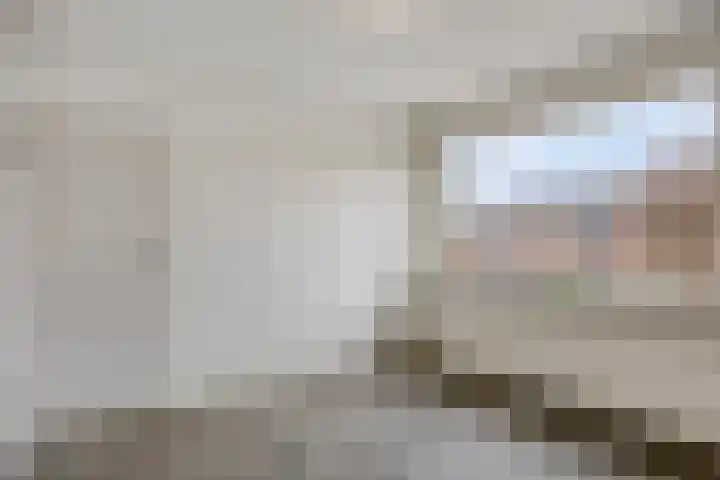 Zonnekruidstraat 8 Heteren thumbnail 19