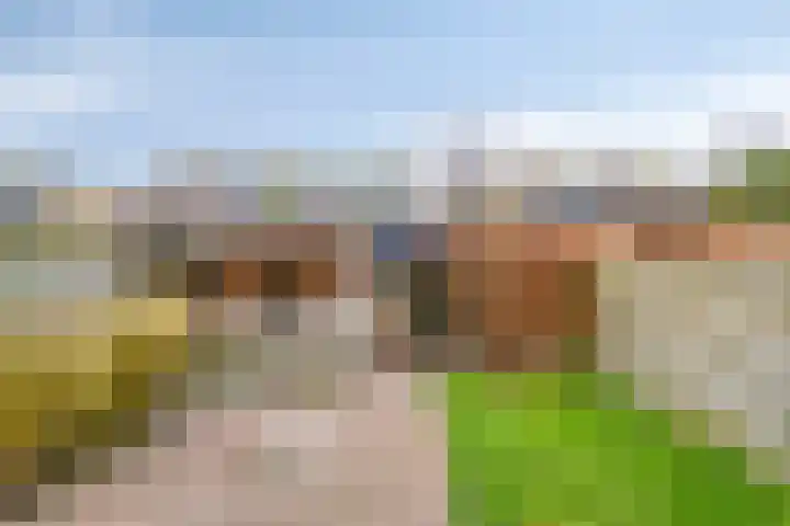 Zonnekruidstraat 8 Heteren thumbnail 38