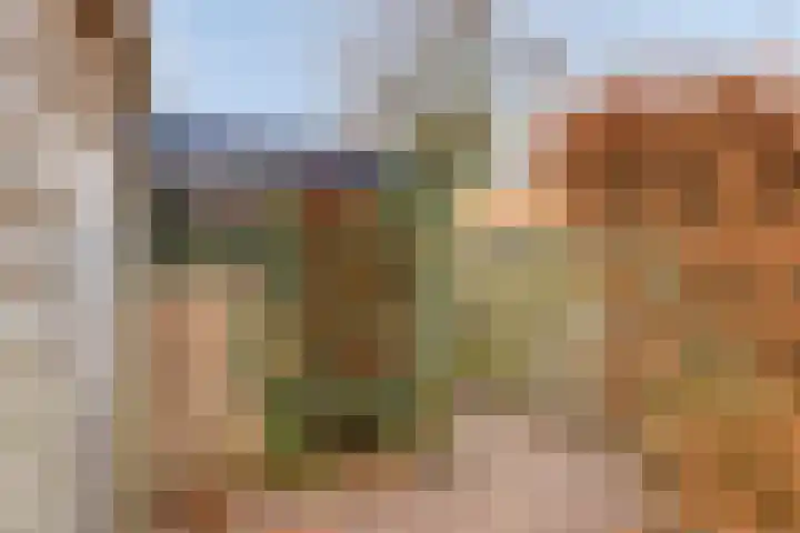 Zonnekruidstraat 8 Heteren thumbnail 39