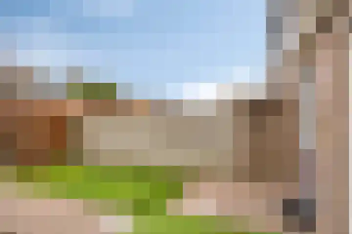 Zonnekruidstraat 8 Heteren thumbnail 4
