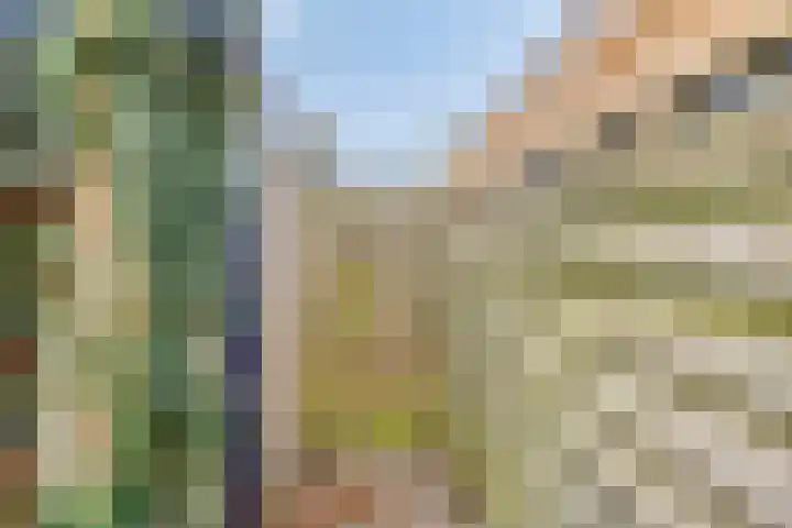 Zonnekruidstraat 8 Heteren thumbnail 40