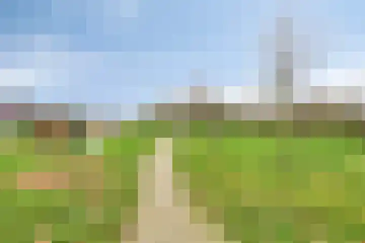Zonnekruidstraat 8 Heteren thumbnail 43