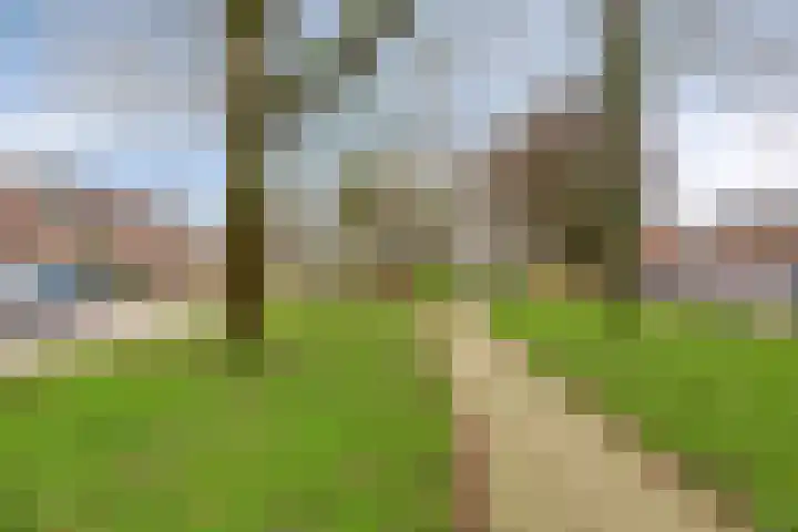 Zonnekruidstraat 8 Heteren thumbnail 45