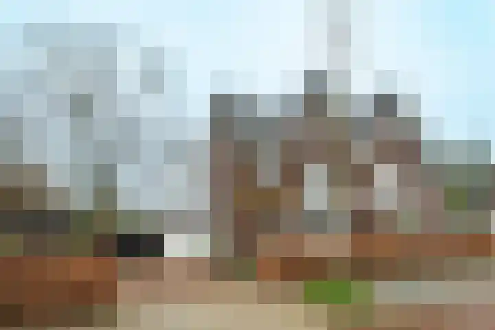Zonnelaan 62 en Huis ter Heide