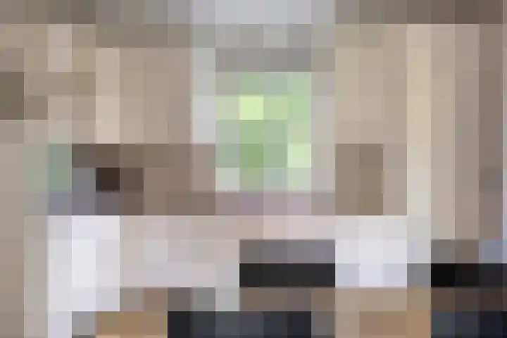 Zonnenbergerdijk 2 017 Heeten thumbnail 14