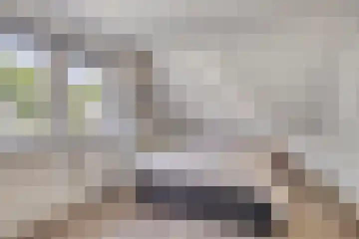 Zonnenbergerdijk 2 017 Heeten thumbnail 20