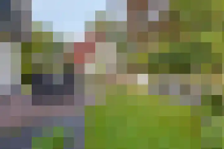 Zonnenbergerdijk 2 017 Heeten thumbnail 29