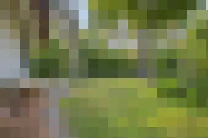 Zonnenbergerdijk 2 017 Heeten thumbnail 31