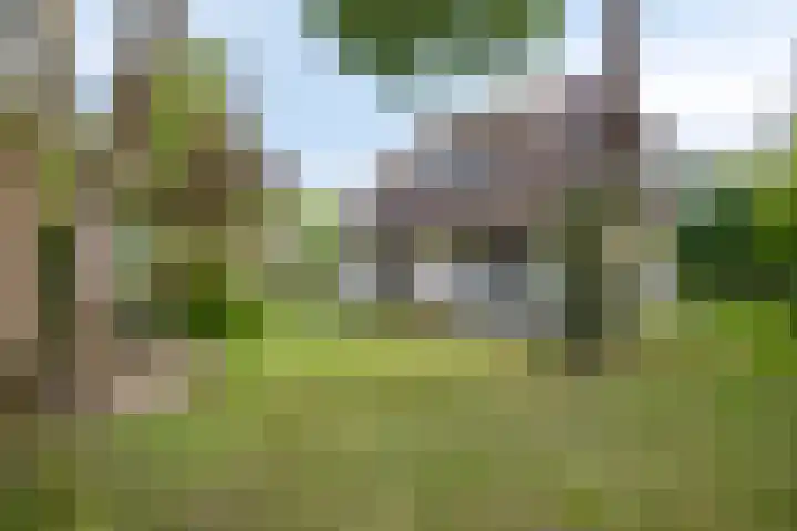 Zonnenbergerdijk 2 017 Heeten thumbnail 33