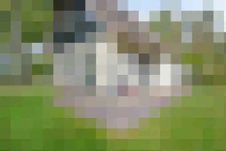 Zonnenbergerdijk 2 017 Heeten thumbnail 35