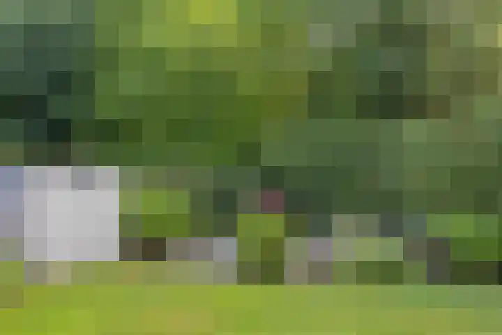 Zonnenbergerdijk 2 017 Heeten thumbnail 38