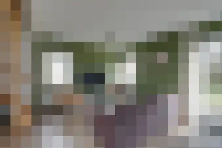 Zonnenbergerdijk 2 037 Heeten thumbnail 10