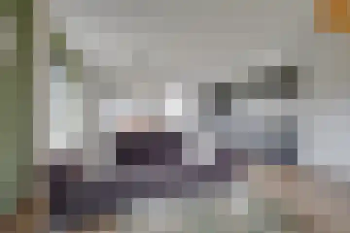 Zonnenbergerdijk 2 037 Heeten thumbnail 12