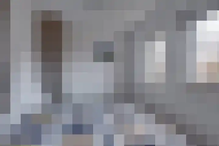 Zonnenbergerdijk 2 037 Heeten thumbnail 20