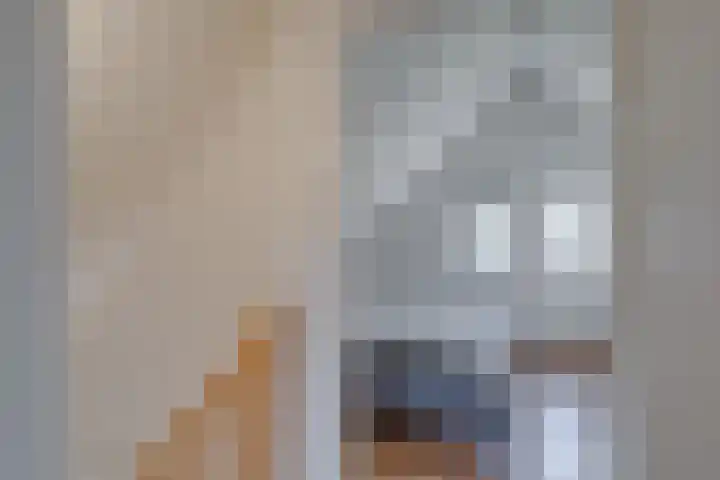 Zonnenbergerdijk 2 037 Heeten thumbnail 26