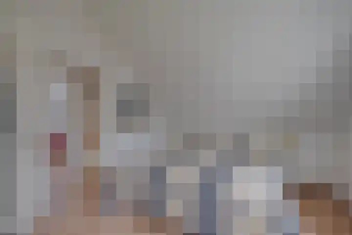 Zonnenbergerdijk 2 037 Heeten thumbnail 28
