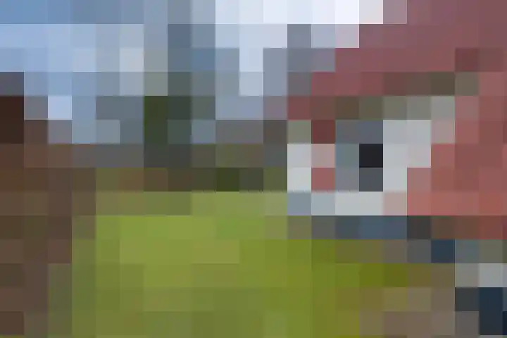 Zonnenbergerdijk 2 037 Heeten thumbnail 43