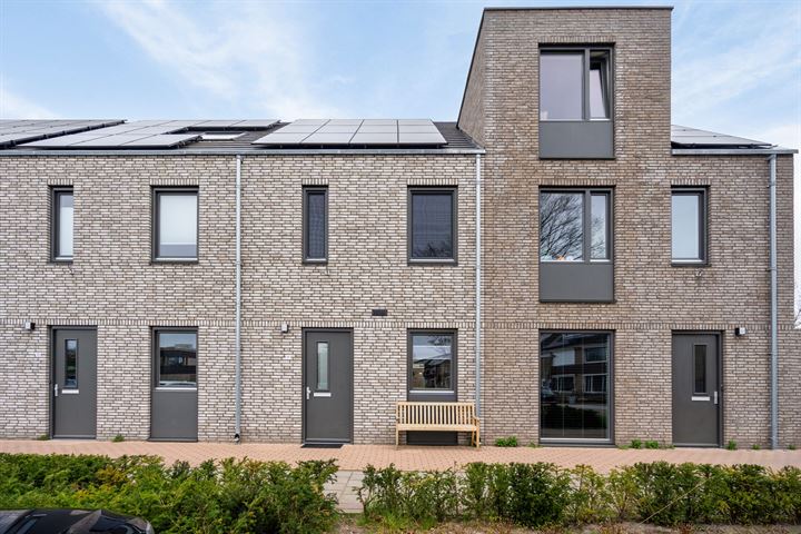 Zonnepad 17 in Son en Breugel foto