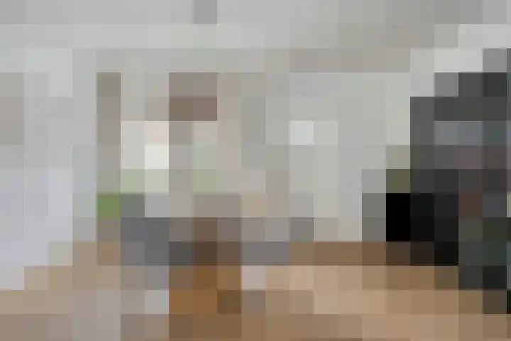 Zonneroosstraat 17 Eindhoven thumbnail 13