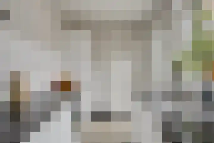 Zonneroosstraat 17 Eindhoven thumbnail 15