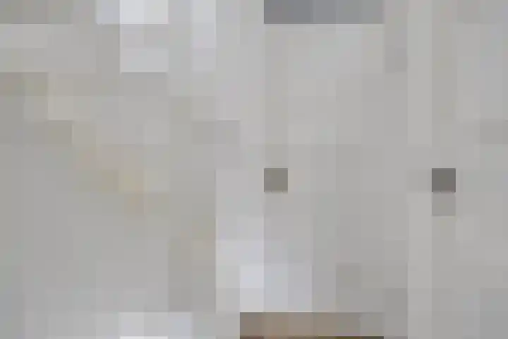 Zonneroosstraat 17 Eindhoven thumbnail 18