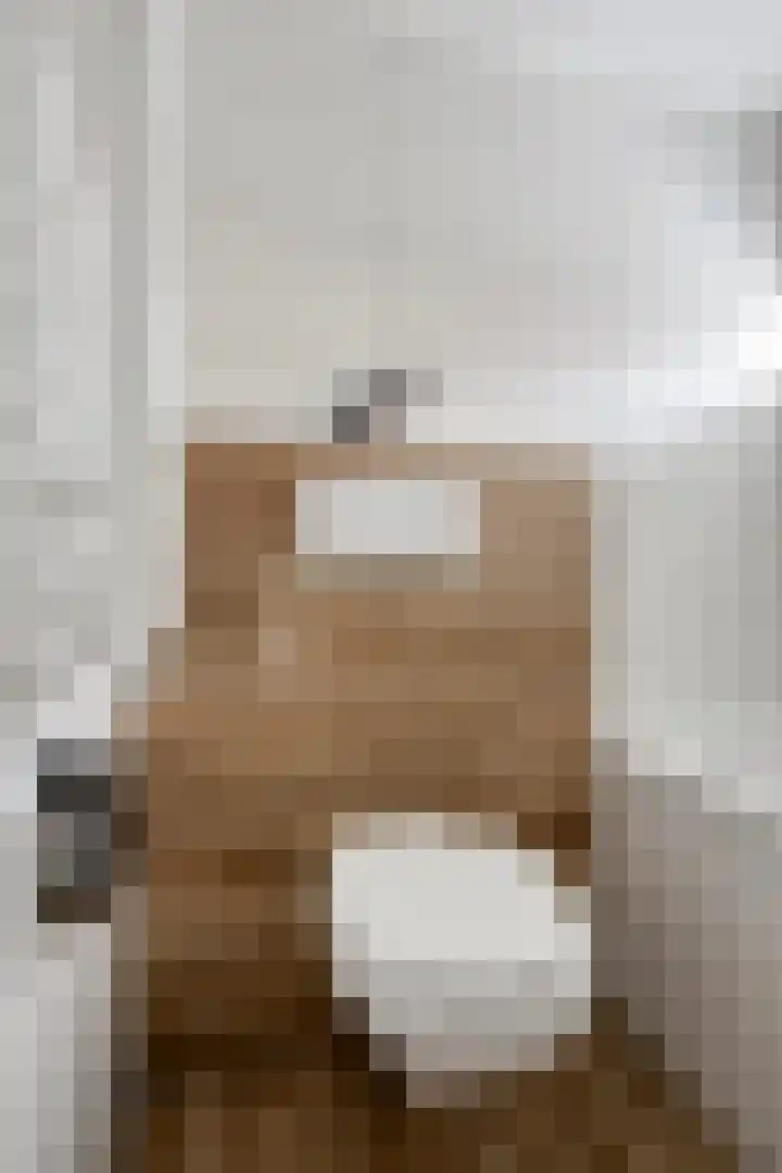 Zonneroosstraat 17 Eindhoven thumbnail 22