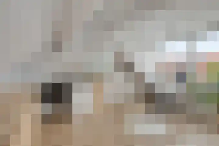 Zonneroosstraat 17 Eindhoven thumbnail 27